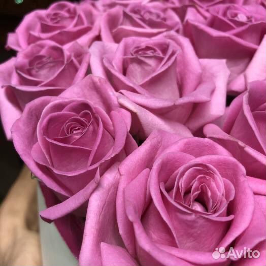 Букет из роз розовых