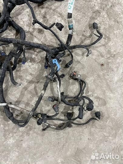 Проводка двигателя ford focus 3