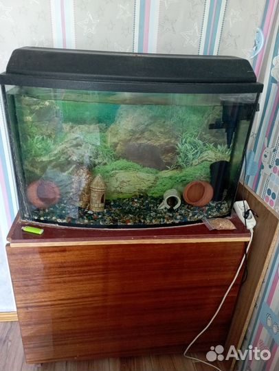 Аквариум с тумбой бу