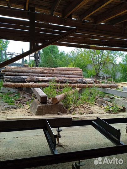 Сдам в аренду ленточную пилораму на долго