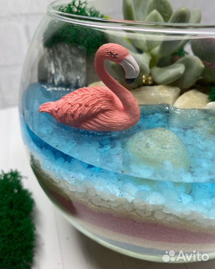 Флорариум. Уникальный подарок