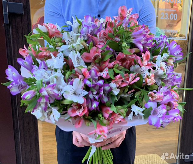 Альстромерия оптом