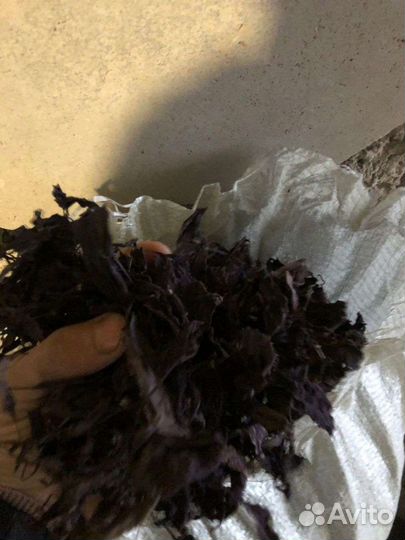 Базилик Сушеный. Специи, мариновка шашлыка