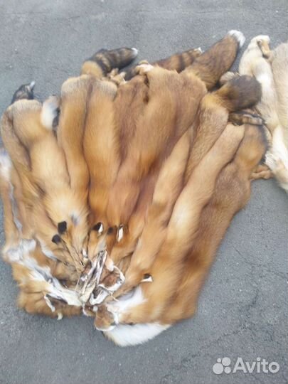 Шкуры лисы