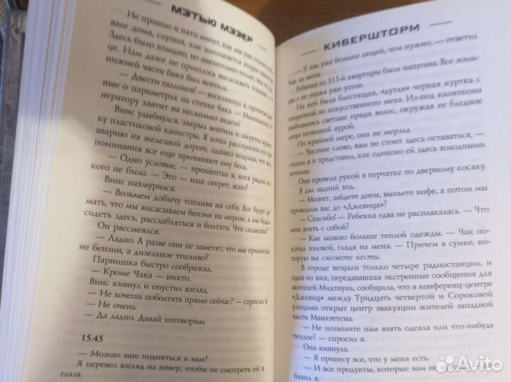 Мэтью Мэзер - Кибершторм