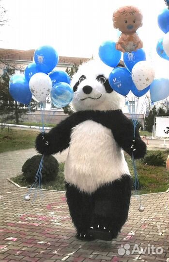 Праздничное поздравление от гигантского Панды