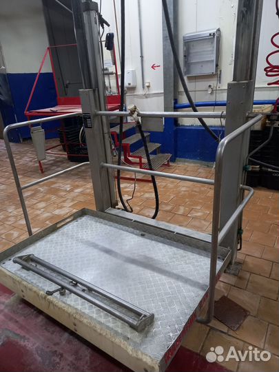 Оборудование для убоя свиней и крс