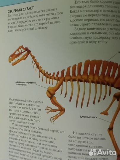 Книга энциклопедия динозавры