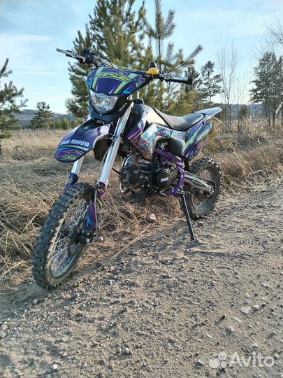 Bse mx 125 2023