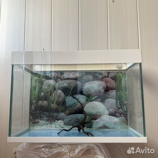Аквариум