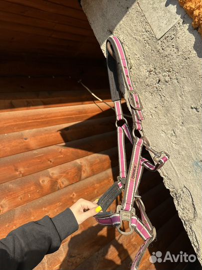Недоуздок для лошади