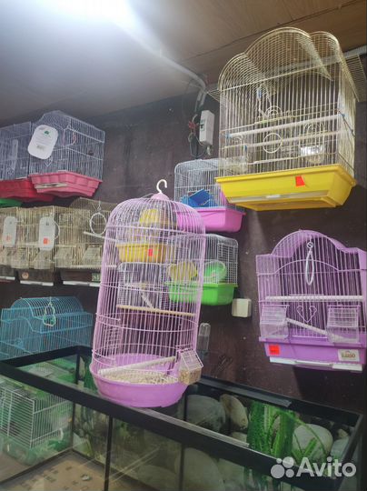 Террариумы для рептилии