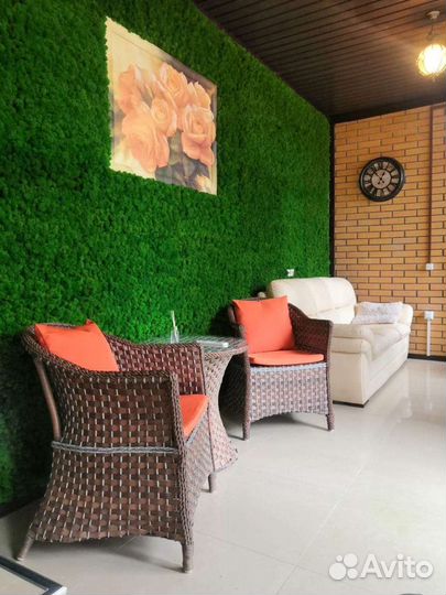 Стабилизированный мох Панели любых размеров