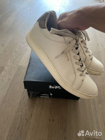 Женские кеды Coach 40