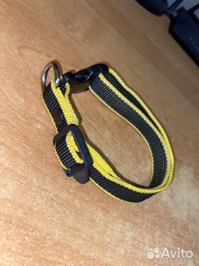 Вещи для собак и кошек