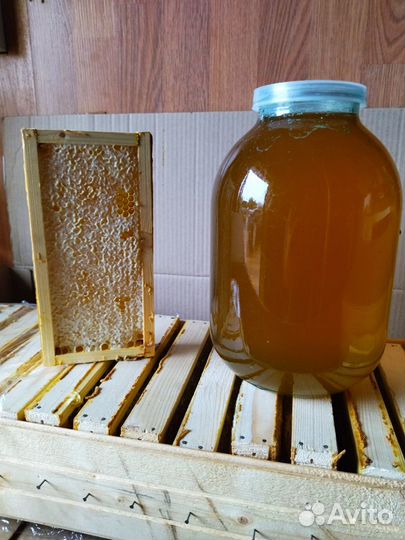 Мëд, мед разнотравье, липа