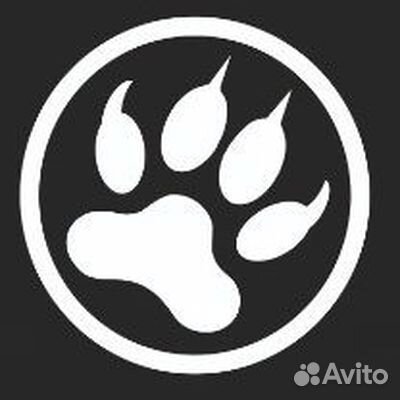 Администратор в компьютерный клуб Pride