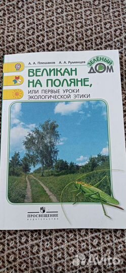 Книжка, Великан на поляне
