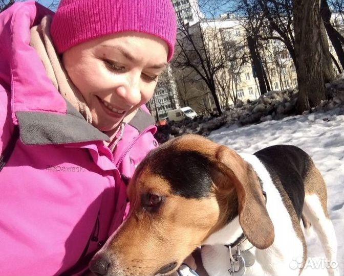 Зооняня/уход за животными/уколы/зоотакси