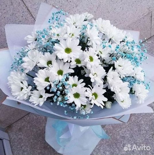 Доставка букетов и цветов. Хризантема