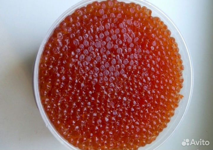 Красная икра 2023 высший первый сорт