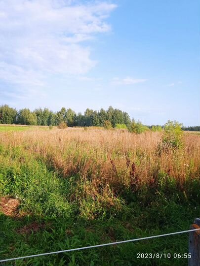 Участок 34,5 сот. (ИЖС)