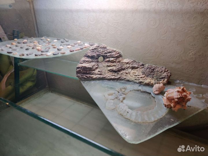 Аквариум 180л открытый для рептилий