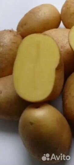 Картофель с бесплатной доставкой