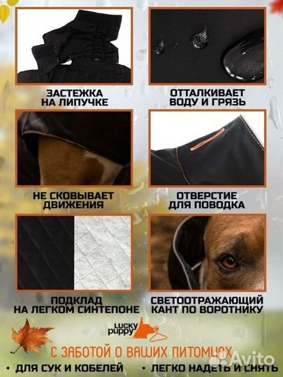 Попона для собак, куртка, комбинезон