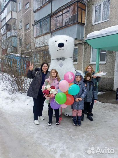 Ростовой белый медведь, аниматор белый мишка