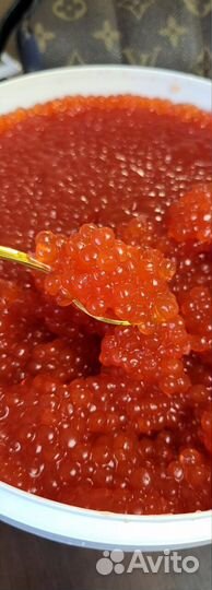 Красная икра купить