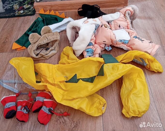 Вещи для собачки