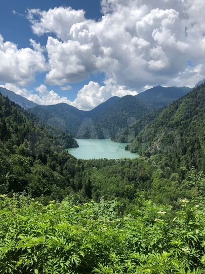 Участок 3,73 га (СНТ, ДНП)