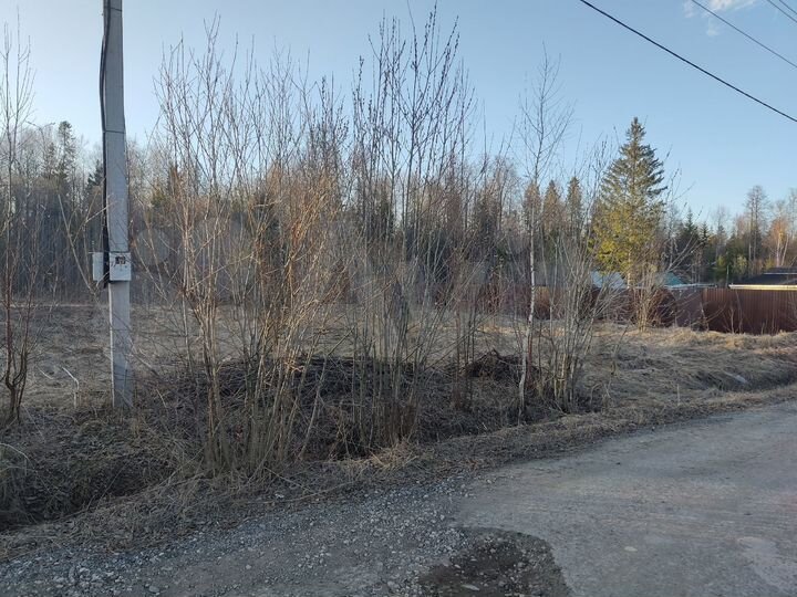 Участок 23 сот. (СНТ, ДНП)