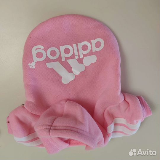 Одежда для животных