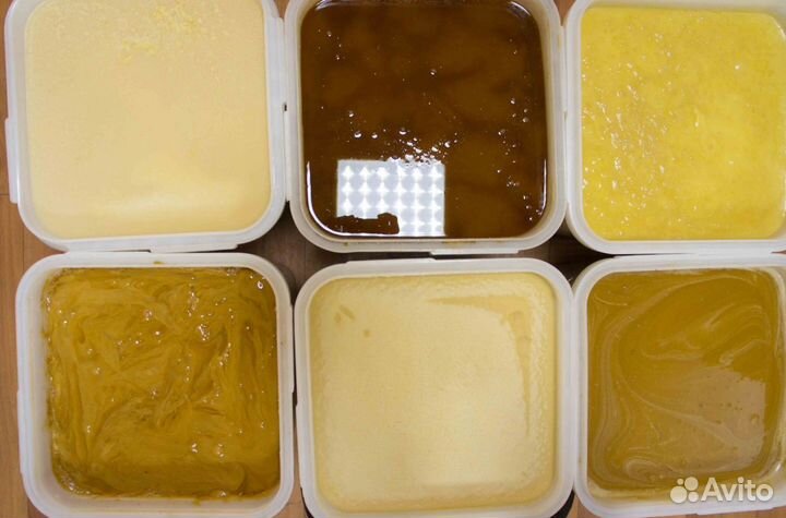 Мед 2023 натуральный из Алтая опт