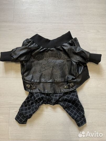 Одежда для средних собак