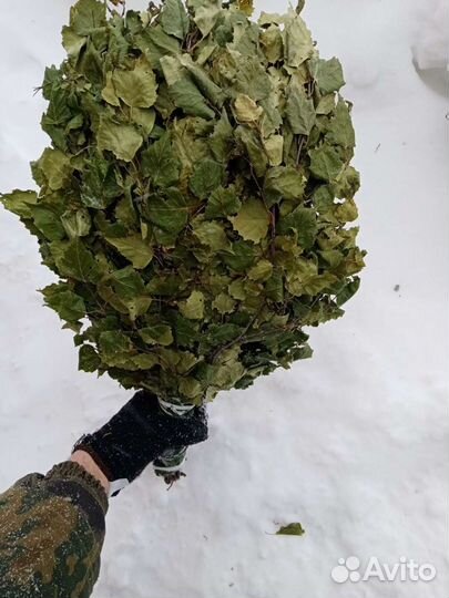 Веники для бани