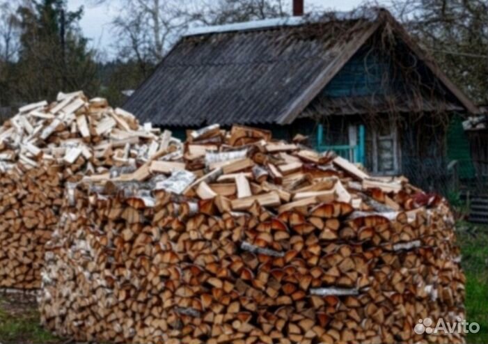 Дрова береза