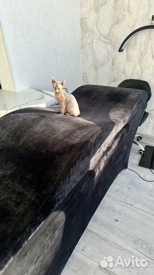 Кушетка чехол анатомический матрац