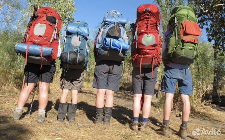 Шорты трекинговые женские 50-52 размер