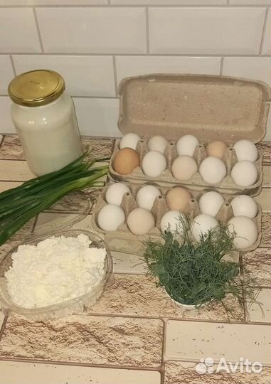 Молоко козье, творог, сыр, масло, сметана, йогурт