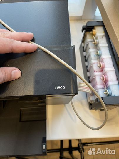 Принтер epson L1800