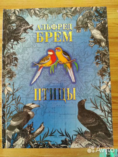 Альфред Брем жизнь животных