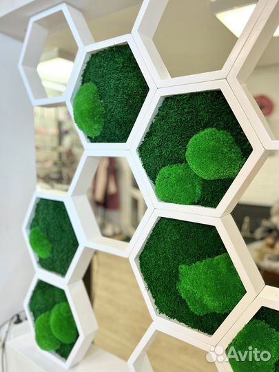 Соты со стабилизированным мхом