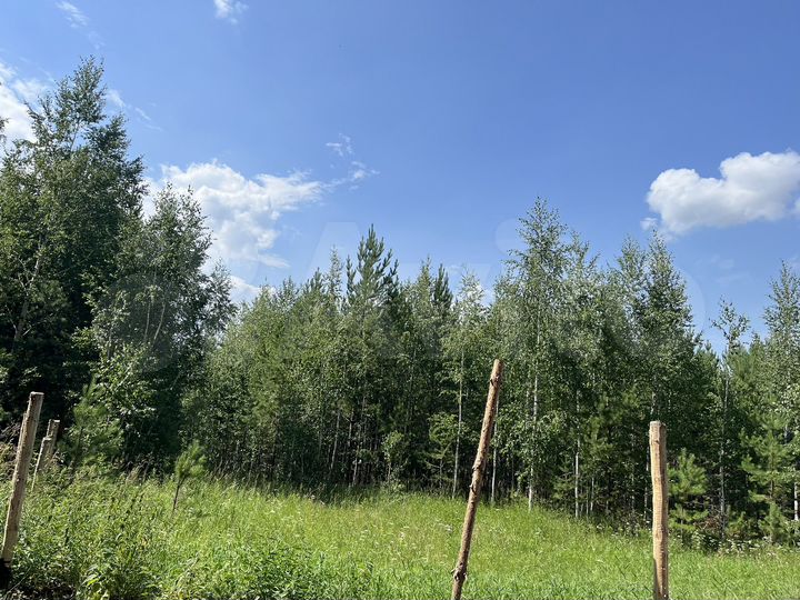 Участок 3 га (СНТ, ДНП)