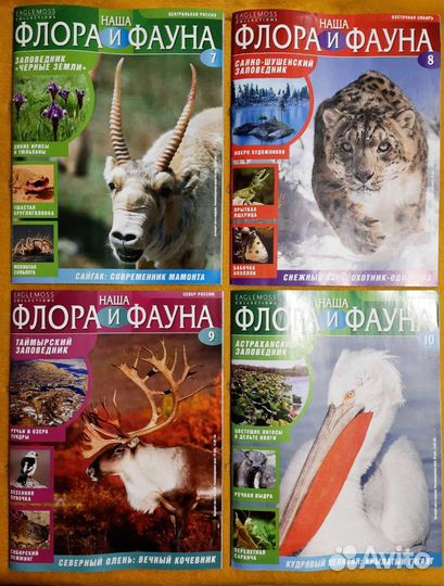 Наша флора и фауна