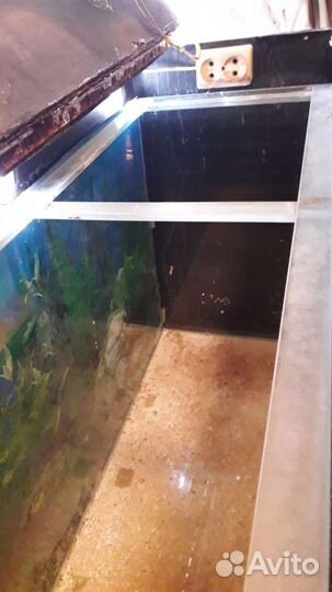 Аквариум с тумбой 200литров,3 тысячи