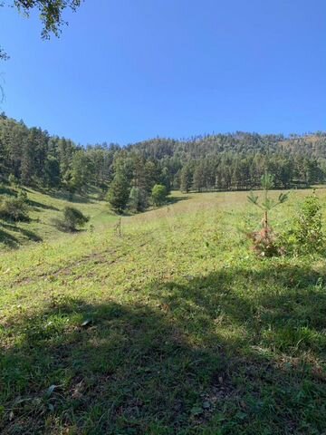 Участок 9 га (СНТ, ДНП)