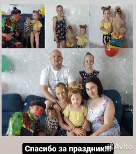 Аниматор Праздник с обезьянкой